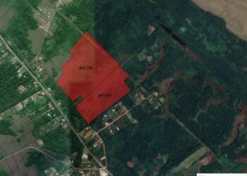 French Guiana tenders public land for solar deployment – pv magazine International