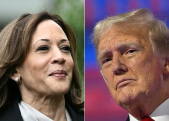 Kamala Harris Or Donald Trump? Why One US County Matters Most In US Polls