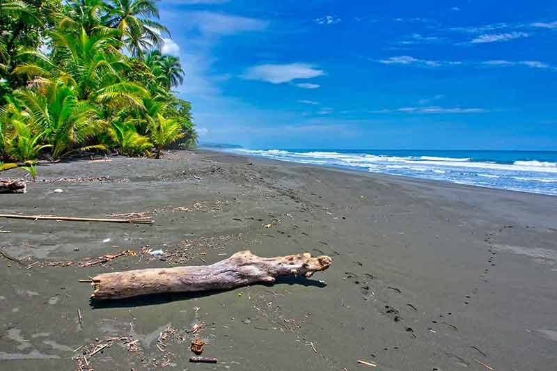 black sand beach costa rica
