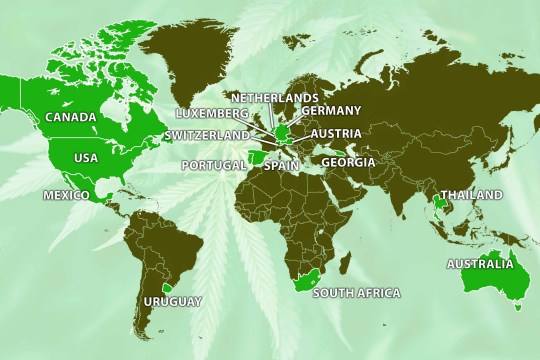 A map shows which countries have legalised cannabis 