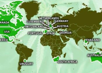 Where is cannabis legal and where can you only use it medicinally? | World News