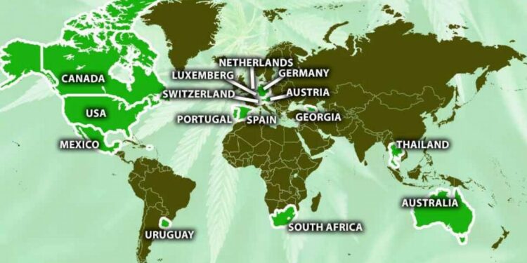 Where is cannabis legal and where can you only use it medicinally? | World News
