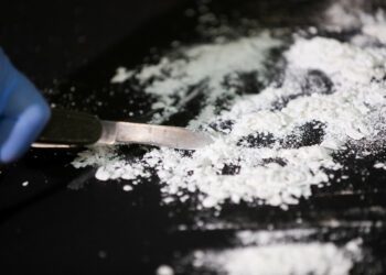 Largest Cocaine Haul So Far This Year Seized at Key Texas-Mexico Border Crossing