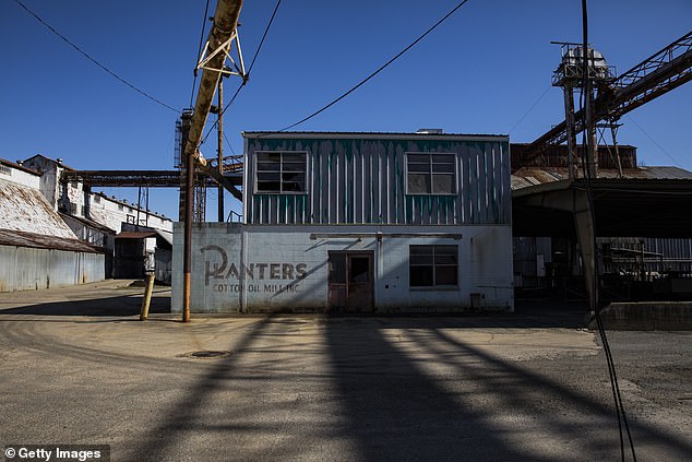 The issues were triggered by the loss of farming and manufacturing jobs, which in turn led to a spike in crime and drugs. Pictured is a closed down cotton oil mill in downtown Pine Bluff