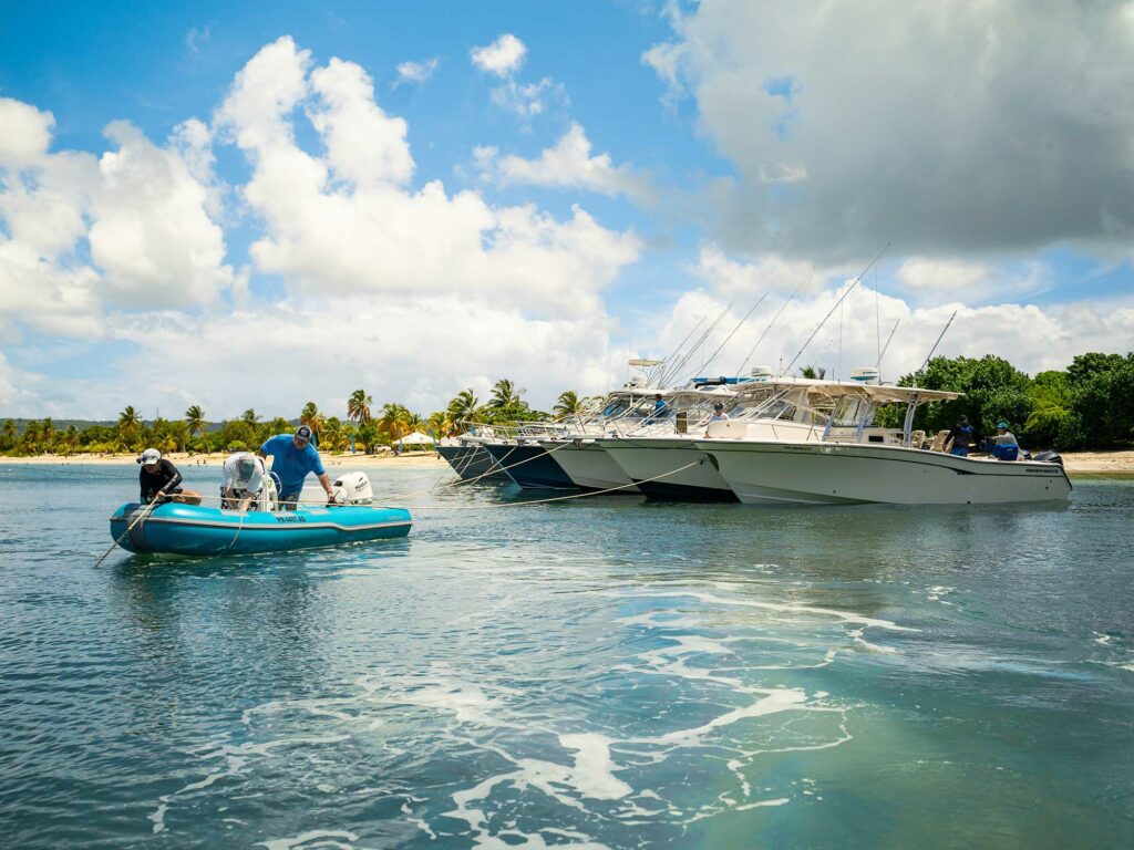 Grady-White Pulls off Its Largest Raft-up Ever in Vieques, Puerto Rico