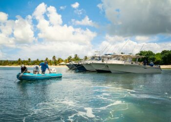 Grady-White Pulls off Its Largest Raft-up Ever in Vieques, Puerto Rico