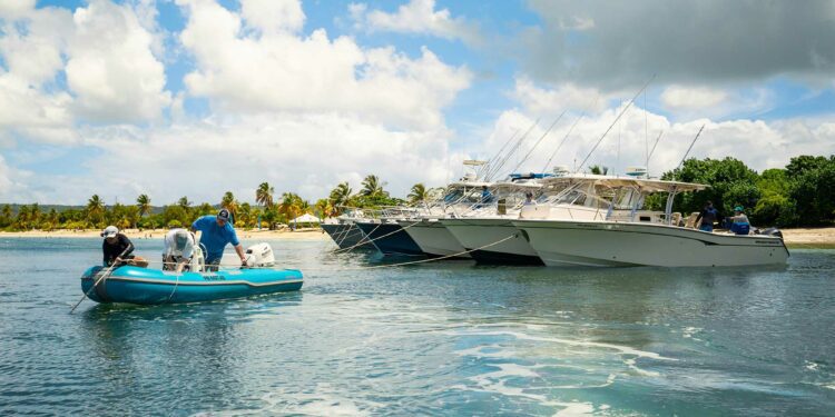 Grady-White Pulls off Its Largest Raft-up Ever in Vieques, Puerto Rico