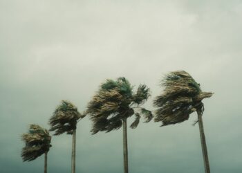 Breakdown: 600+ Storms Later, the Caribbean Knows About Resilience