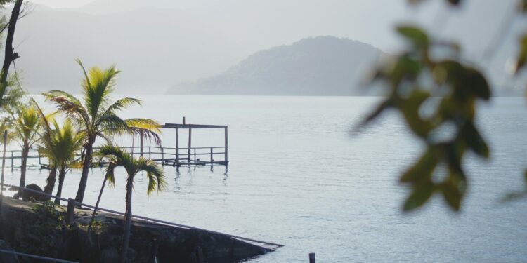 El Salvador, a small nation in Central America, experiences a troubling rate of disappearances, with one person vanishing each day.