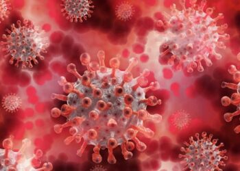 Deadly Sloth Fever Spreading Rapidly Across Europe And US