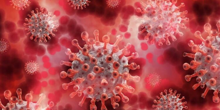 Deadly Sloth Fever Spreading Rapidly Across Europe And US