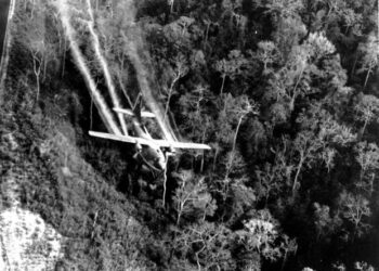 87,000 Vietnam Veterans May Qualify for $844 Million in Benefits. How Come Nobody Told Them?