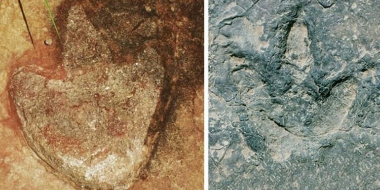 ‘Almost identical’ dinosaur tracks found in Brazil and Africa. Here’s what that proves