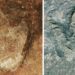 ‘Almost identical’ dinosaur tracks found in Brazil and Africa. Here’s what that proves