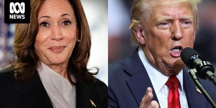 Donald Trump and Kamala Harris go quiet on America's biggest economic issue
