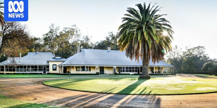 Merino sheep stations Boonoke, Wanganella to be snapped up by US investors in $780 million deal