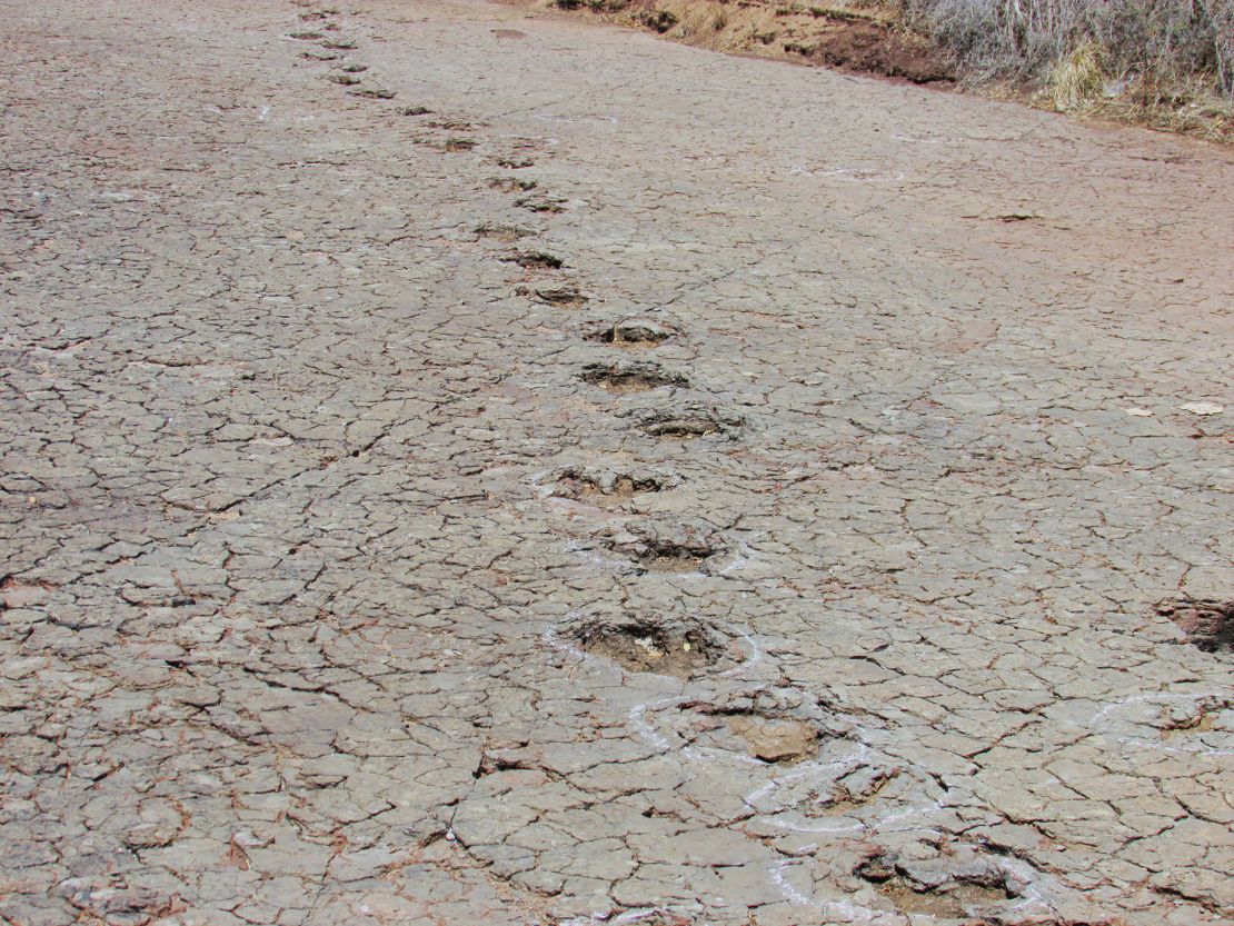 Footprints belonging to dinosaurs were preserved in floodplain deposits within the Sousa Basin in Brazil.<strong></noscript></strong>” class=”image__dam-img image__dam-img–loading” onload=”this.classList.remove(‘image__dam-img–loading’)” onerror=”imageLoadError(this)” height=”1388″ width=”1850″ loading=”lazy”/></p><p class=