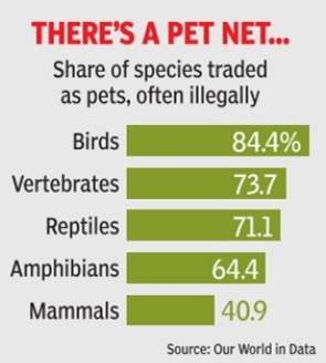 There's a pet net