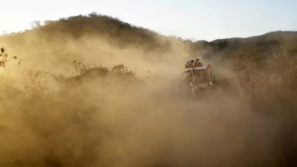 2 dead, 30 cities affected as Brazil battles to control wildfires – Firstpost