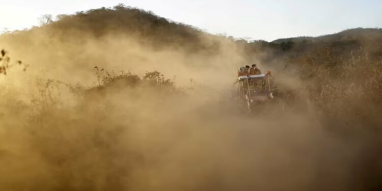 2 dead, 30 cities affected as Brazil battles to control wildfires – Firstpost