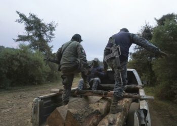 7 community guards killed by cartel gunmen in Mexico, 7 others kidnapped and put through "hell"