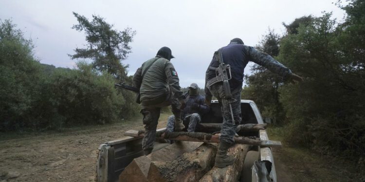 7 community guards killed by cartel gunmen in Mexico, 7 others kidnapped and put through "hell"