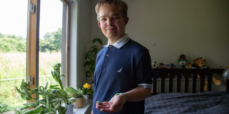 A Cottage Grove man raises — and tracks — monarch butterflies from eggs on milkweed leaves to flights to Mexico