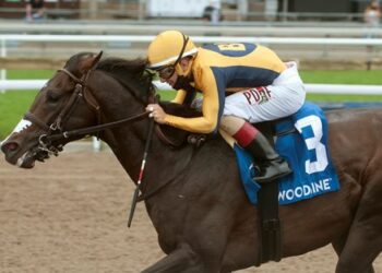 Accomplished U.S. Entries Sent to The Guyana Cup