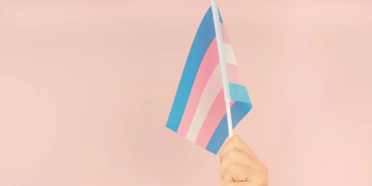 Hand holding flag in transgender pride colours