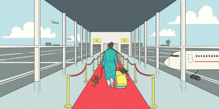 America is sabotaging itself in the global battle for talent