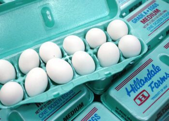 America’s anti-price-gouging laws are too minor to be communist