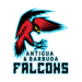 Antigua and Barbuda Falcons Cricket Team