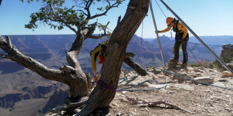 Arizona woman swept away by flooding in Grand Canyon