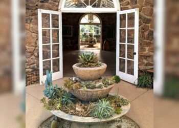 Arizona's Top-Rated Botanical Garden is the World's Best