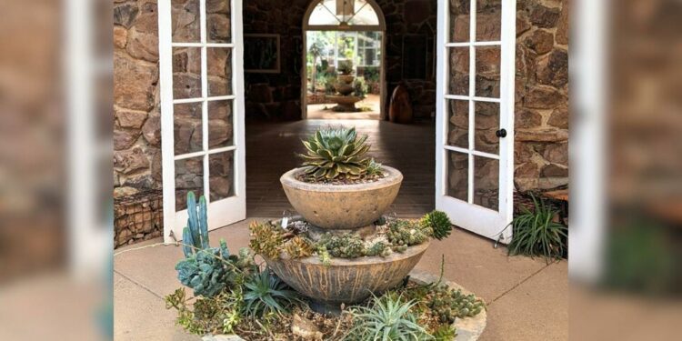 Arizona's Top-Rated Botanical Garden is the World's Best