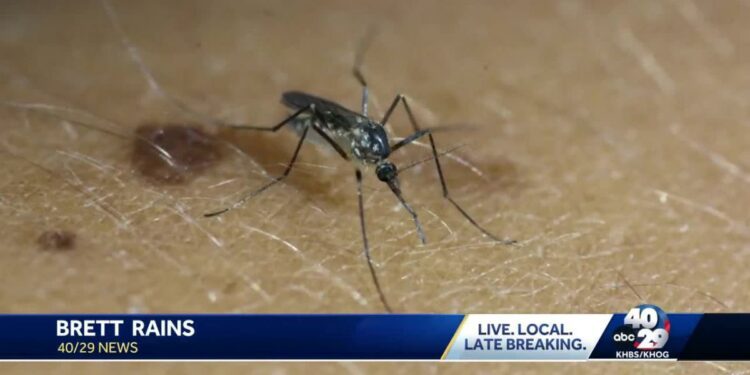 Arkansas monitors cases of West Nile virus