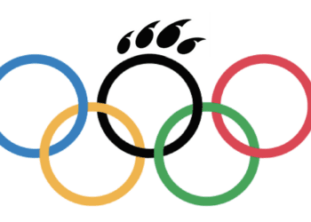 Bearcats in the Olympics | Sports