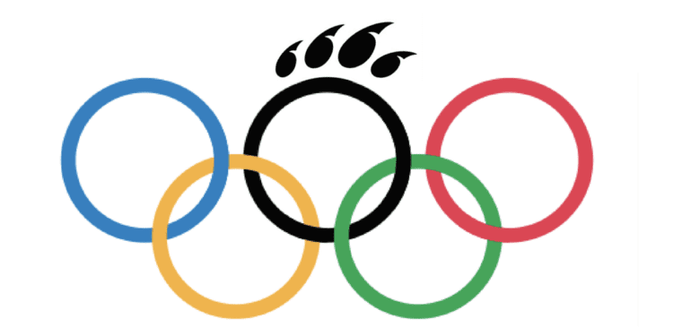 Bearcats in the Olympics | Sports