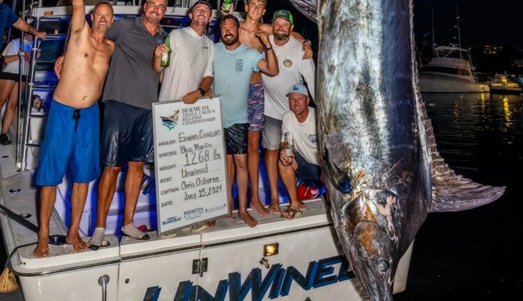 Bermuda anglers in grand mood after ‘historic’ marlin catch