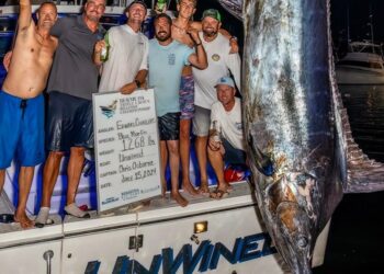 Bermuda anglers in grand mood after ‘historic’ marlin catch