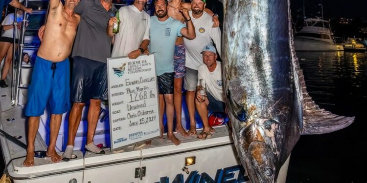 Bermuda anglers in grand mood after ‘historic’ marlin catch