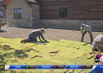 Bermuda hybrid grass is now being installed in Utah after near state wide ban was lifted