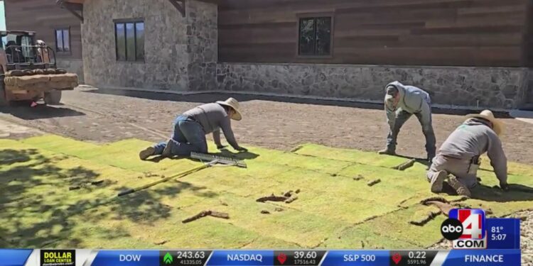 Bermuda hybrid grass is now being installed in Utah after near state wide ban was lifted