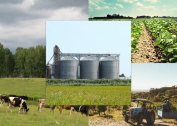 Bolivia Battles Devastating Wildfires in Santa Cruz Region