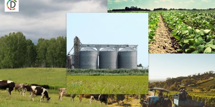 Bolivia Battles Devastating Wildfires in Santa Cruz Region