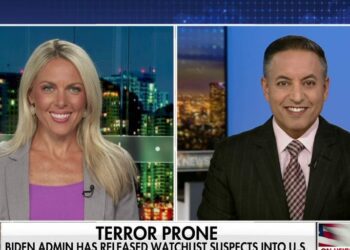 'Border czar' Kamala Harris has failed us: Nicole Parker