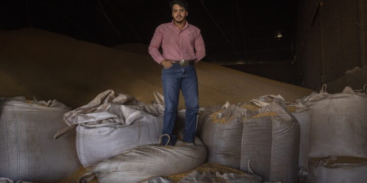 Brazil Farmers Gain Momentum as America Declines