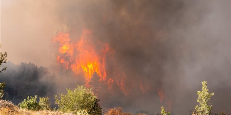 Brazil's Sao Paulo state government forms Crisis Cabinet to deal with wildfires