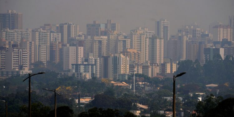 Brazil’s Wildfires Are a Climate Crisis Warning