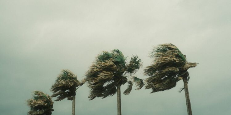 Breakdown: 600+ Storms Later, the Caribbean Knows About Resilience